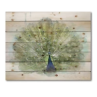 Designart - Peacock Bird