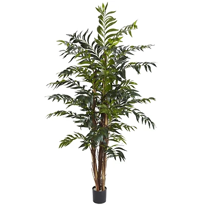 5ft. Potted Bamboo Tree