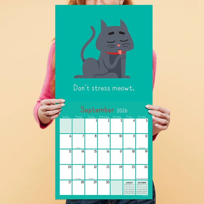 2026 Puns of Fun Wall Calendar
