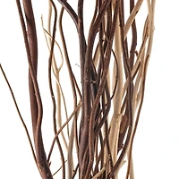6 Pack: Mixed Natural Willow Bundle by Ashland