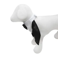 Best Furry Friends Classic Tuxedo Collar