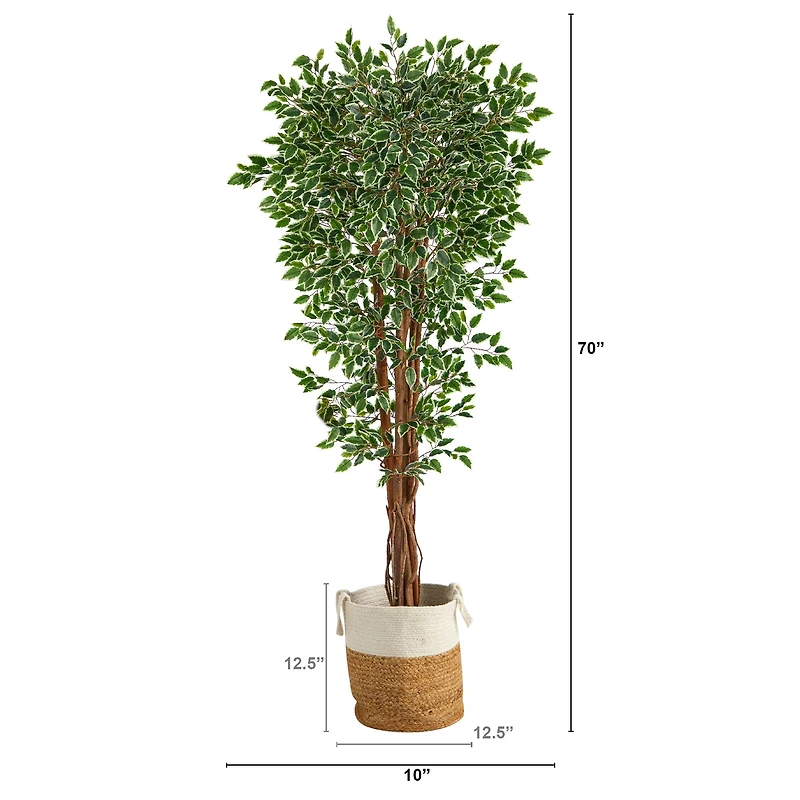 6ft. Variegated Ficus Tree in Handmade Natural Jute & Cotton Planter