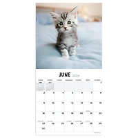 TF Publishing 2024 Kittens Mini Calendar