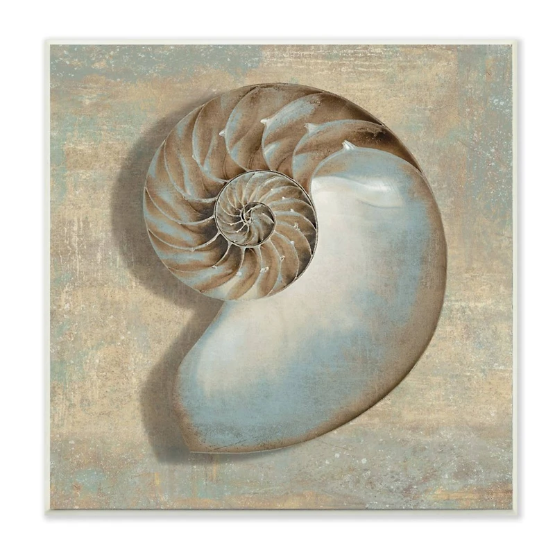 Stupell Industries Shell Beach Objects Design Wood Wall Plaque