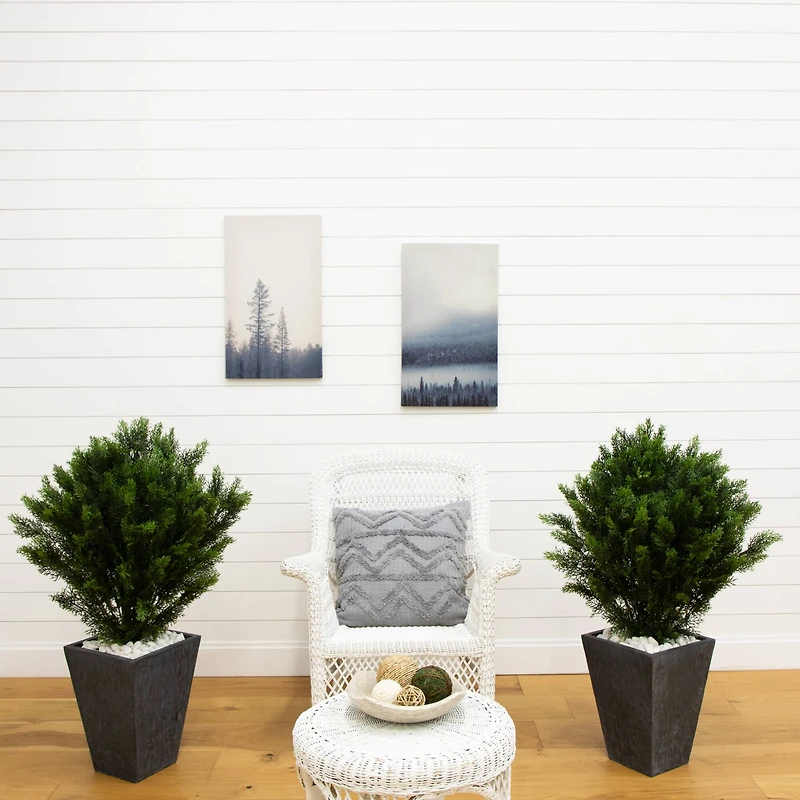 3ft. Potted UV Resistant Cedar Trees, 2ct.