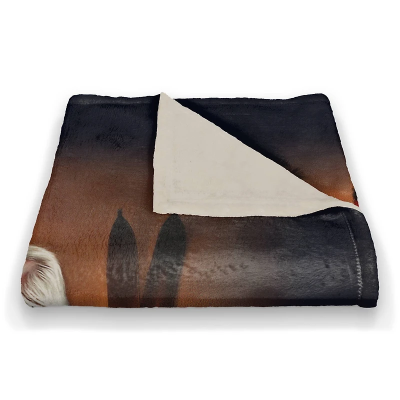 Painted Santa On Piano 50x60 Coral Fleece Blanket