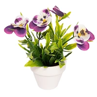 Assorted Micro Premade Flowering Plant, 1pc. by Ashland®