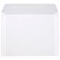 JAM Paper 9.5" x 12.625" Translucent Clear Vellum Envelopes, 25ct.