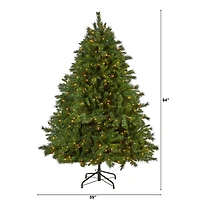 7ft. Pre-Lit Wyoming Mixed Pine Artificial Christmas Tree, Clear LED Lights