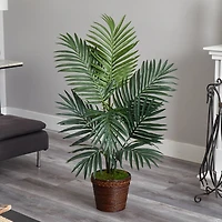4ft. Kentia Palm Tree in Coiled Rope Planter