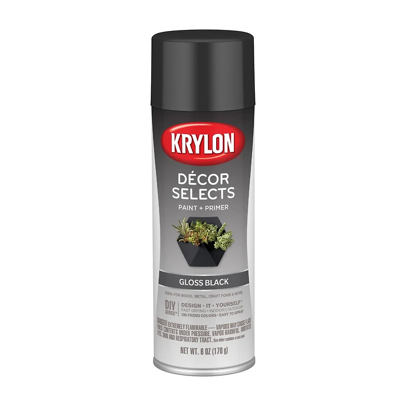 Krylon® Décor Selects Gloss Paint & Primer