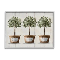 Stupell Industries Young Fruit Trees Charming Baskets Home Sweet Home in Frame Wall Art
