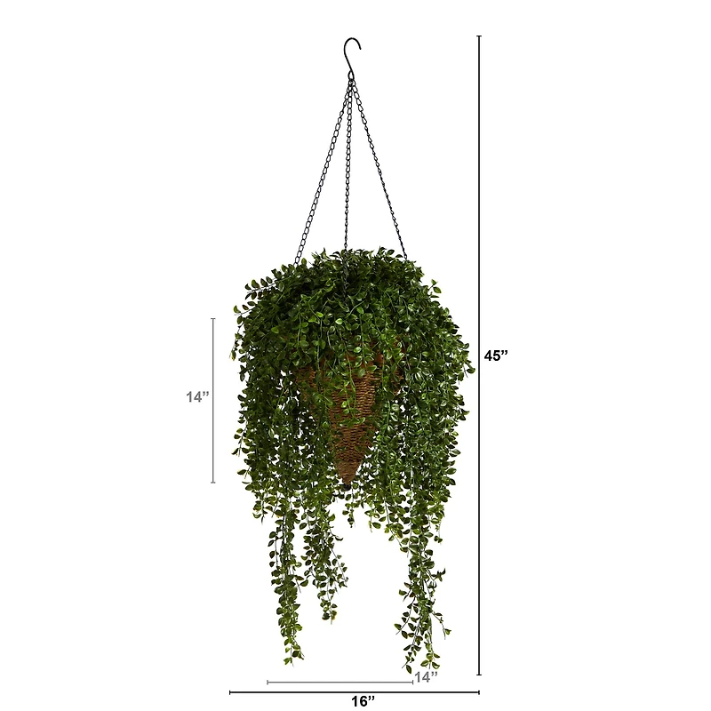 4ft. Honey Locust Plant in Hanging Cone Basket