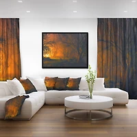 Designart - Magical Light in Forest