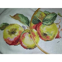 Alisa Apples Cross Stitch Kit