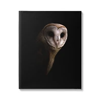 Stupell Industries Intense Barn Owl Black Shadow Photography Canvas Wall Art