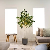 5ft. Potted Pre-Lit Artificial Birch Tree with Warm White LED Lights
