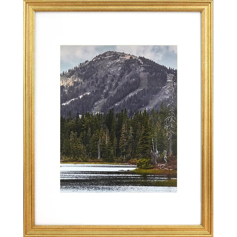 3 Pack Gallery™ Gold Frame with Mat by Studio Décor