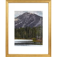 3 Pack Gallery™ Gold Frame with Mat by Studio Décor