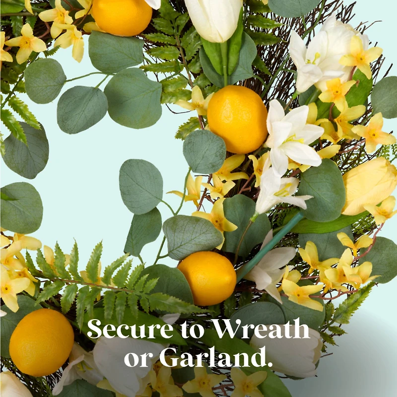 Scentsicles Stick Lemon 'n Lilies and Berryvines & Wildflowers, 2 pack of 6