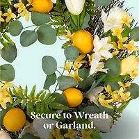 Scentsicles Stick Lemon 'n Lilies and Berryvines & Wildflowers, 2 pack of 6