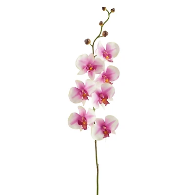 12 Pack: Pink & White Orchid Spray by Ashland®