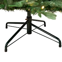 6.5ft. Pre-Lit Real Touch™ Ashburn Pine Artificial Christmas Tree, Warm White LED Lights