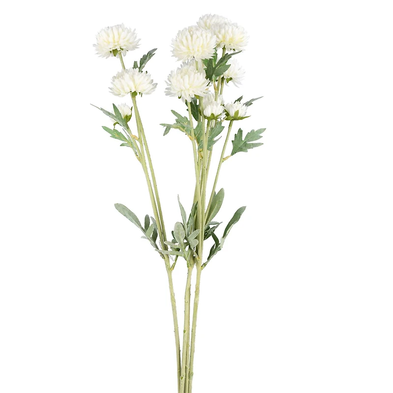 White Daisy Spray, 4ct.