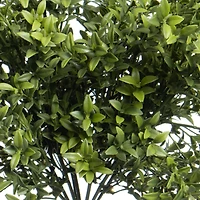 17" Green Boxwood UV Resistant Bush by Ashland®