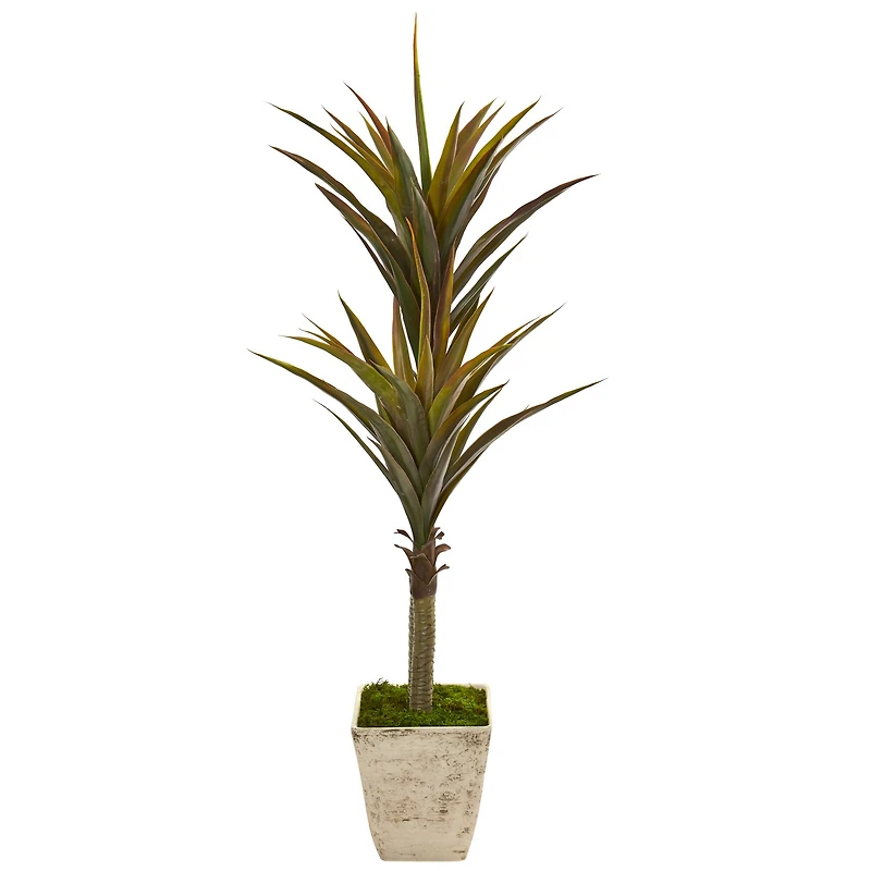 5ft. Green Yucca Tree in Country White Planter