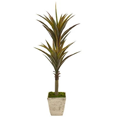 5ft. Green Yucca Tree in Country White Planter