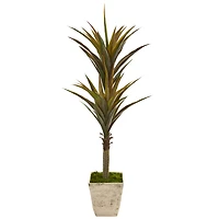5ft. Green Yucca Tree in Country White Planter