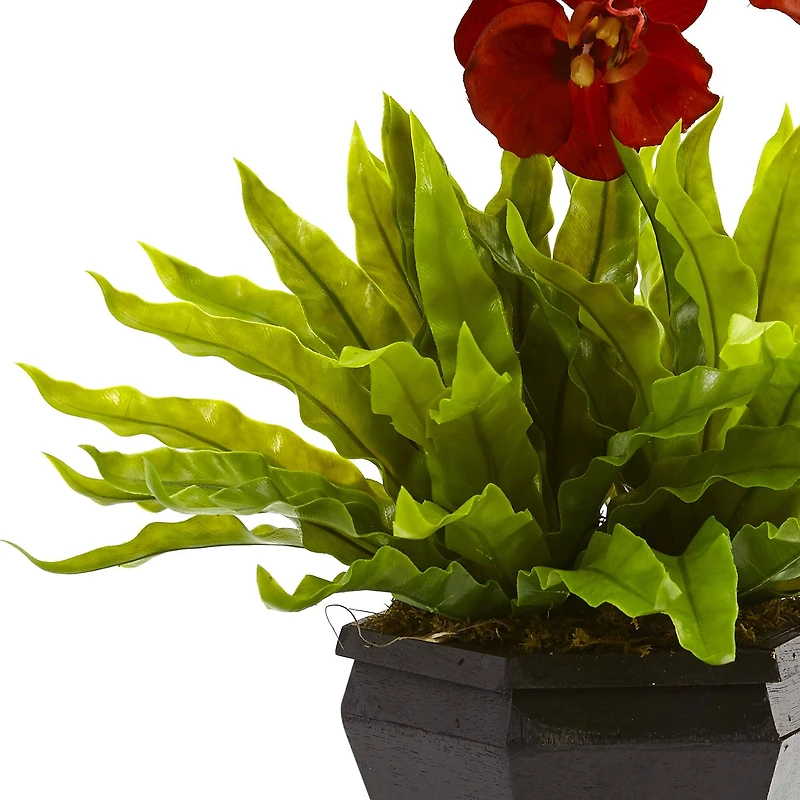 20" Rust Orchid & Fern Arrangement with Wood Planter