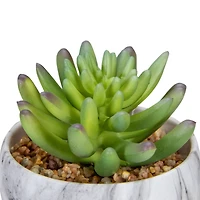 4.25" Green Succulent in Faux Marble Pot