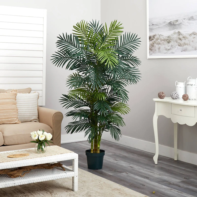 6.5ft. Potted Golden Cane Palm Tree
