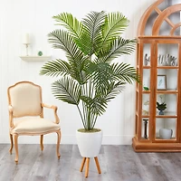 6.5ft. Golden Cane Palm Tree in White Planter with Stand