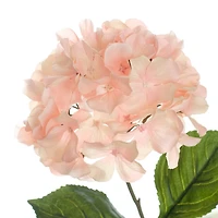 Pink Hydrangea Stem by Ashland®