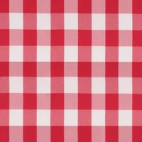 Red Picnic Check Poplin
