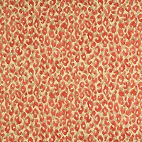 P. Kaufmann Snow Leopard Blaze