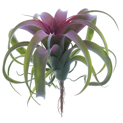 10.5" Tillandsia Pick, Green & Burgundy