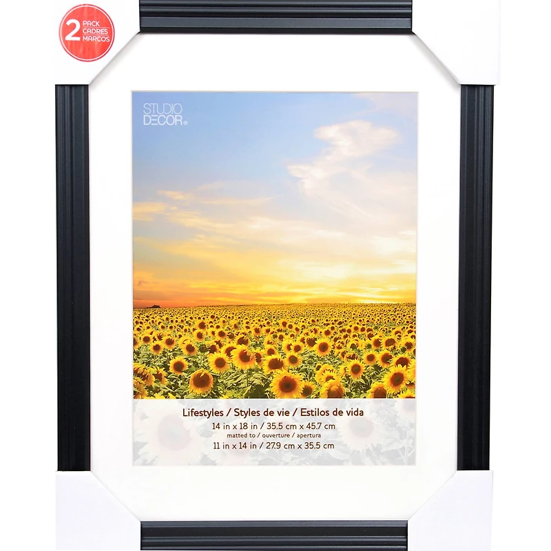 2 Pack Lifestyles 11" x 14" Black Frames with Mat by Studio Décor®