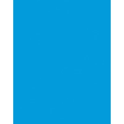 Pacon® Coated Poster Board, 22" x 28