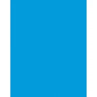 Pacon® Coated Poster Board, 22" x 28