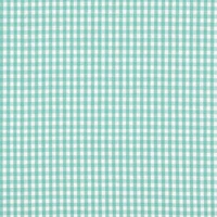 1/8" Mint Green Gingham