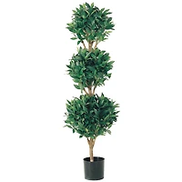 4 Ft. Triple Ball Sweet Bay Topiary