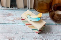 Cuttlebug® Die Set Feathers & Arrows