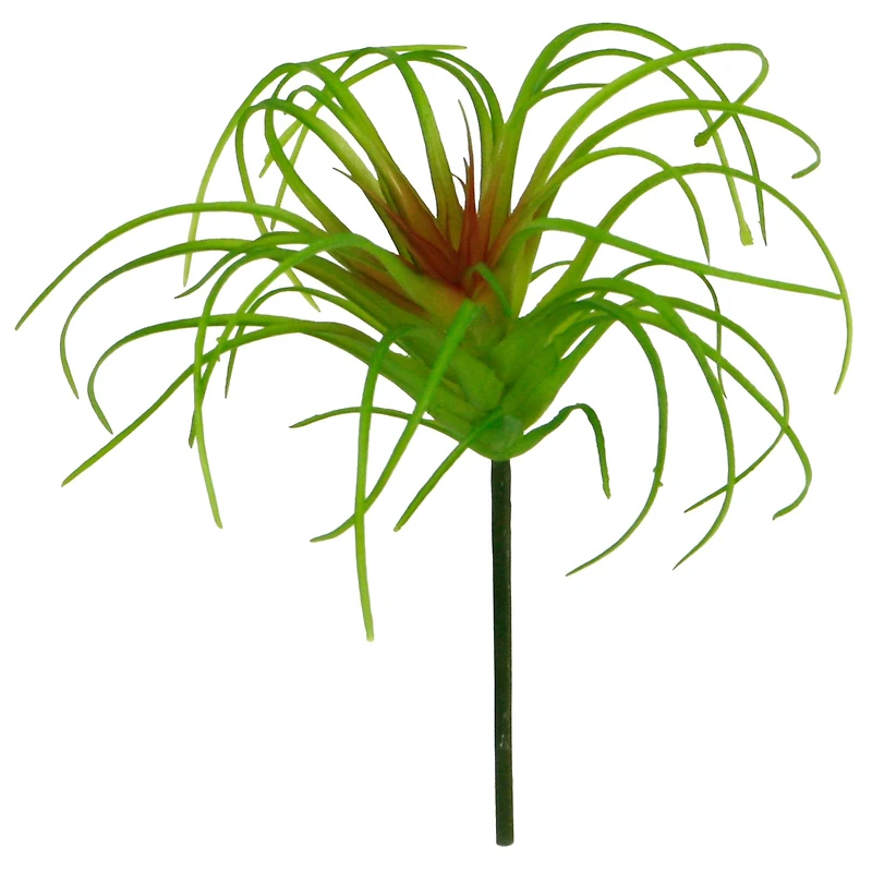24 Pack: Assorted Tillandsia Pick by Ashland®