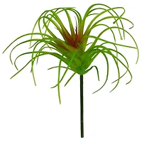 24 Pack: Assorted Tillandsia Pick by Ashland®
