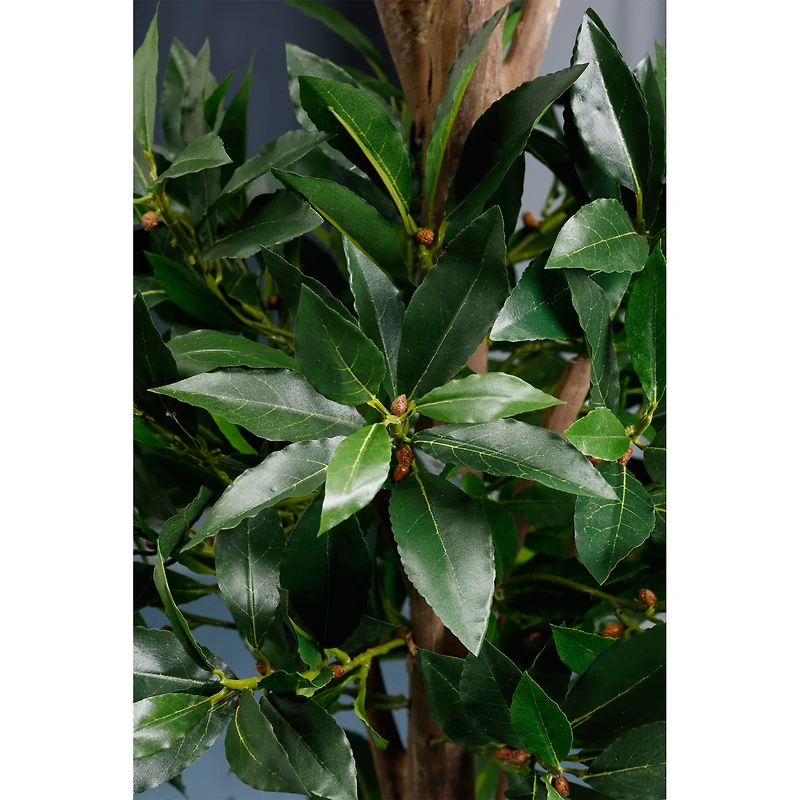 4 Ft. Triple Ball Sweet Bay Topiary