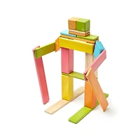 Tegu Tints Block 24 Piece Set